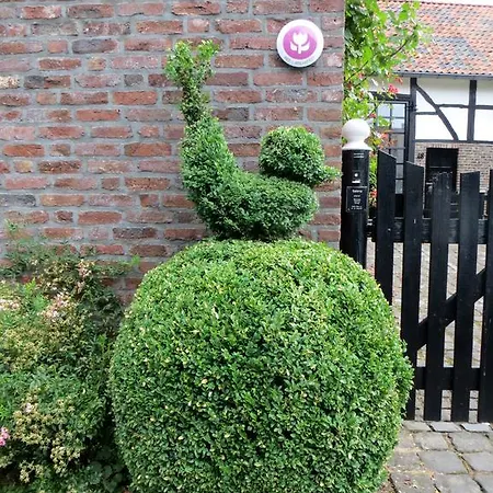 Bed & Breakfast De Kunstkamer Margraten