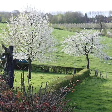 Bed & Breakfast De Kunstkamer Margraten